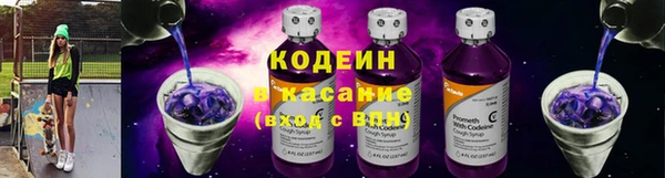 хмурый Алексин