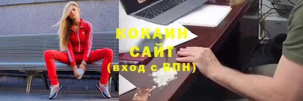 хмурый Алексин