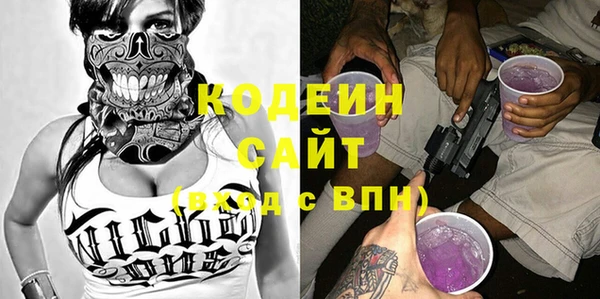 хмурый Алексин