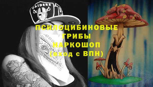бошки Алзамай