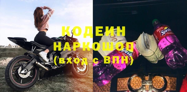 хмурый Алексин