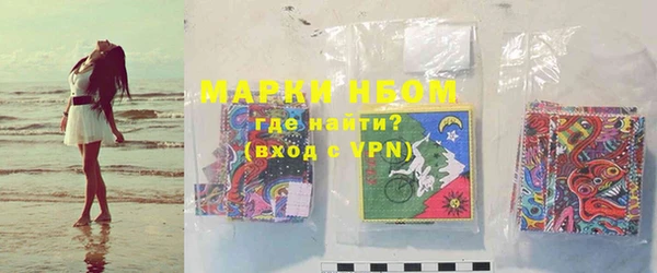 хмурый Алексин