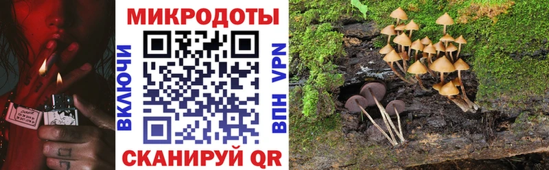 хочу наркоту  Нижний Ломов  Псилоцибиновые грибы Psilocybine cubensis 